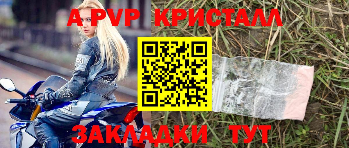 Alfa_PVP СК  A PVP СК  A PVP Соль  Вход с VPN  Котлас 