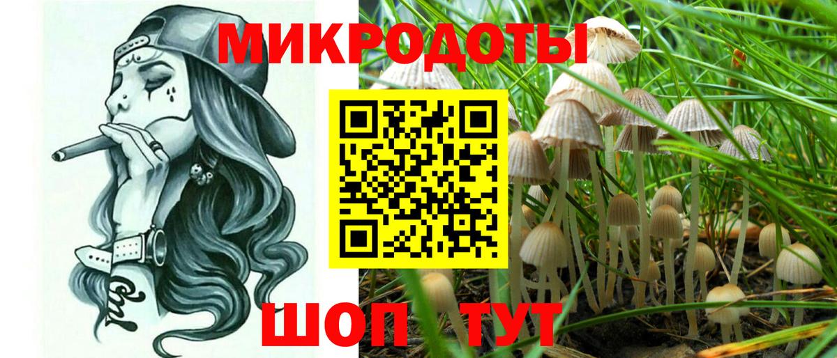 Псилоцибиновые грибы Cubensis  купить наркотик  Котлас  Вход с VPN 
