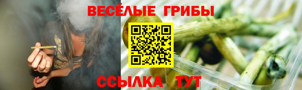 Галлюциногенные грибы ЛСД Котлас
