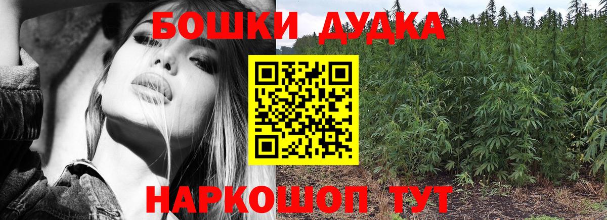 Бошки Шишки Amnesia  Вход с VPN  Бошки Шишки SATIVA & INDICA  Котлас  МАРИХУАНА конопля 